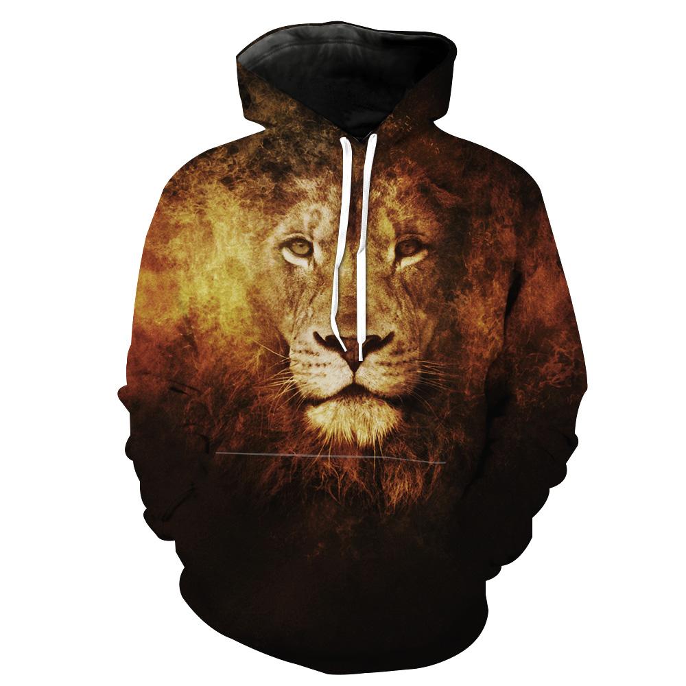 Lion Hoodies - Epic Lion Pullover Hoodie