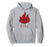 Avatar The Last Airbender Pullover - Fire Element Painted Hoodie