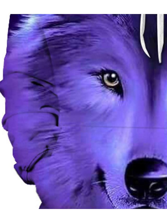 3D Printed Wolves Hoodie - Hooded Basic Long Sleeve Purple